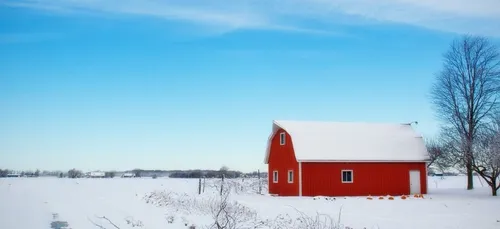 Bloqué chez lui par la neige, un homme survit plusieurs semaines