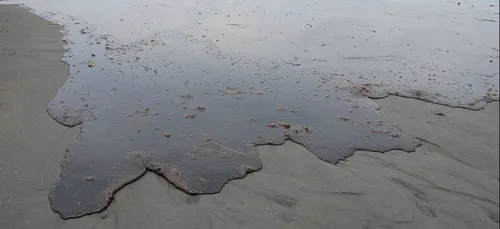 Gironde : une marée noire pourrait toucher notre littoral dès ce...