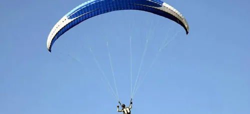 Sur un arbre perché