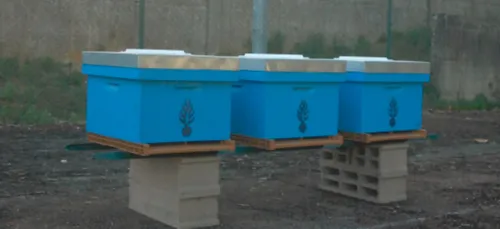 La gendarmerie de la Marne se lance dans la production de miel