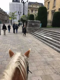 La traversée de Reims...à cheval