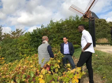 Usain Bolt de passage dans la Marne