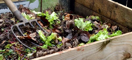 Le compostage, ça vous dit ?