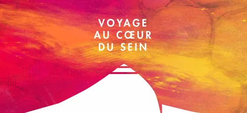 Voyage au coeur du sein à Troyes