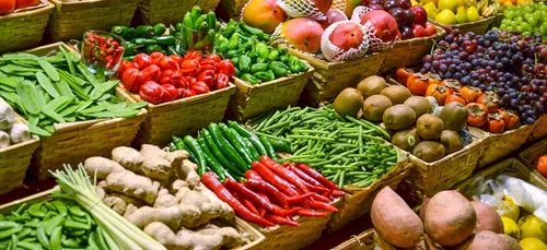 A Reims, l'Amap prend ses quartiers au Manège