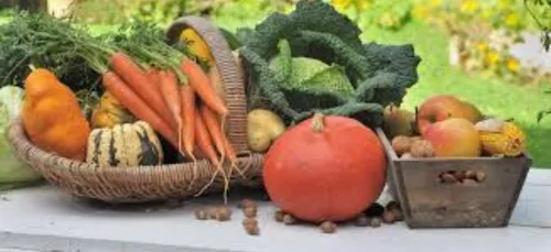 Les Ardennes dans vos assiettes