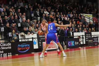 Battues mais pas abattues