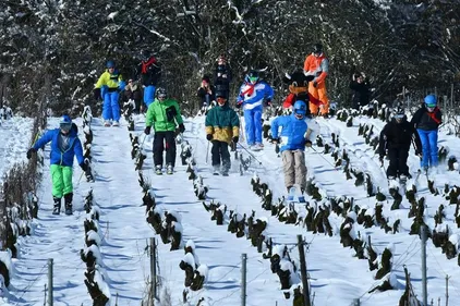 Séance de ski dans les vignes