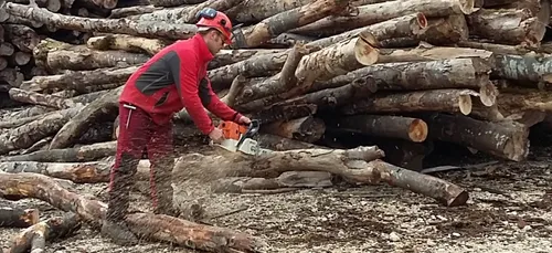 Tout savoir sur les métiers du bois !