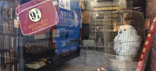 Une boutique Harry Potter ouvre en France !