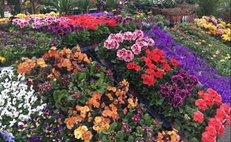 Week-end zen au parc des expos de Reims