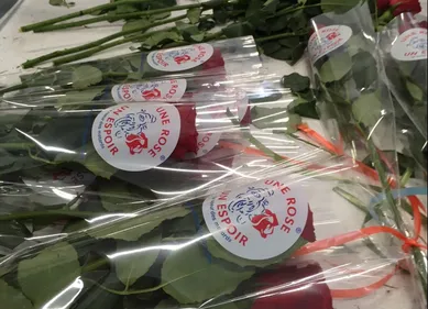 Une rose pour soutenir la Ligue contre le Cancer