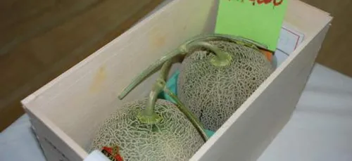 25 000 euros pour des melons?