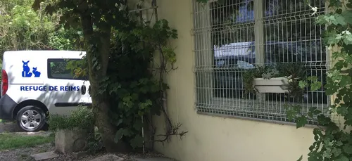 Les refuges débordent