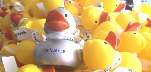 Découvrez ce qu'offrent ces canards pour les soldes.