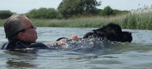 Des chiens sauveteurs en démonstration au lac du Der
