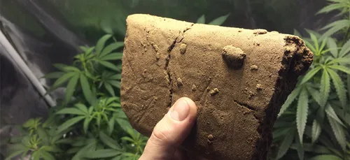 1 kilo de résine de cannabis, un aubois arrêté