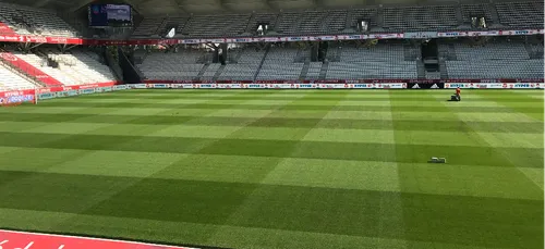 La pelouse du stade de Reims victime d’une bactérie