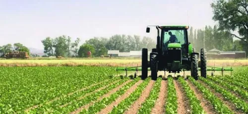 Ces agriculteurs qui ne prennent pas de vacances