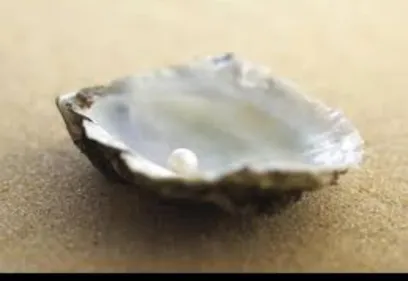 Une rémoise découvre une perle dans une huître