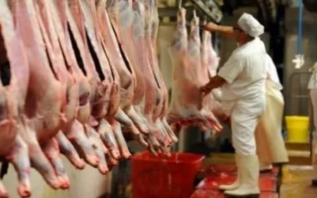 Abattage illégal dans les Ardennes