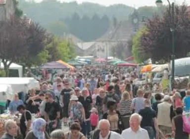 Si ça vous démange, allez aux puces !