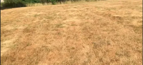 L'eau est précieuse alerte le Préfet de la Marne