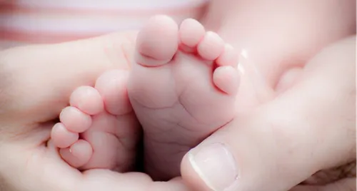 Pic des naissances aujourd'hui