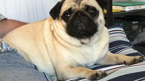 L'étonnant butin des cambrioleurs