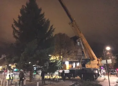 Le grand sapin est arrivé à Reims
