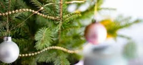 Où jeter son sapin de noël à Reims ?