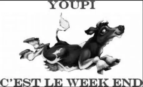 dernières sorties week-end de 2018 !