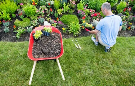 Offre d'emploi, chef d'équipe paysagiste
