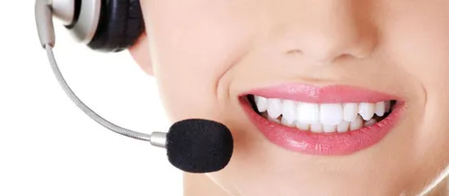 Offre d'emploi, Téléconseiller support client logiciel