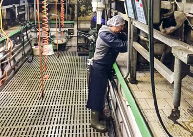 Poste d'agent de traite