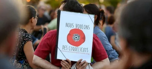Nouveau rassemblement des Coquelicots pour dire non aux pesticides