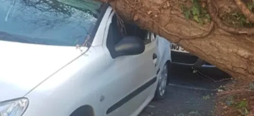 Le vent fait des dégâts