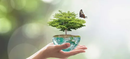 Une semaine sans pesticides