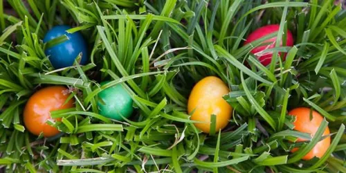 Grande chasse aux œufs