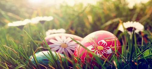 A Reims, Get Out lance une chasse aux oeufs