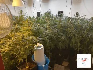 Les policiers font confiance à leur flair