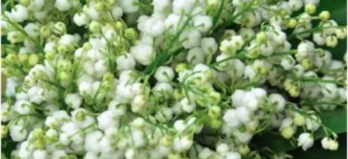 Le programme du 1er mai