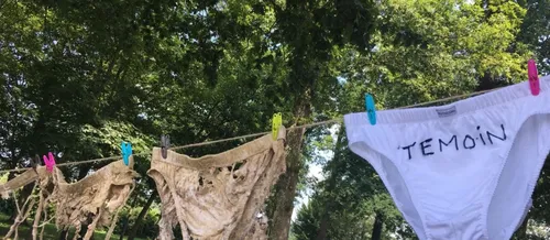 Savez-vous planter des slips ?