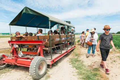 Redécouvrir ses produits locaux