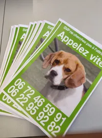 La Wouaf Wouaf a besoin de vous