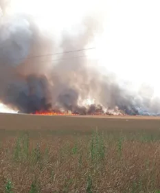 Feu dans un champ