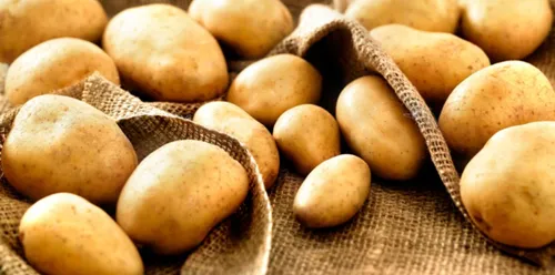 Rappel de lots de pommes de terre