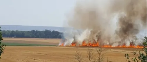 Important feu dans un champ près de Reims