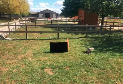 Massacre d'animaux à Mery-sur-Seine.