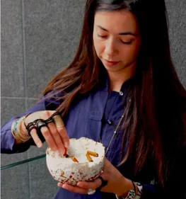 Le champignon mange-mégots au Cabaret Vert !